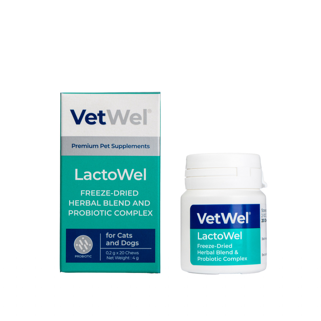 VetWel LactoWel ürün ambalajı